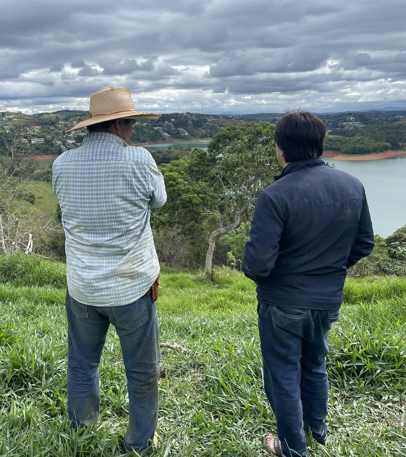 Avaliando terreno em campo